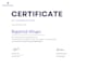 do professional SEO for your website